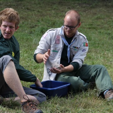 IMG 4147 - Scouts en Gidsen Zaventem 